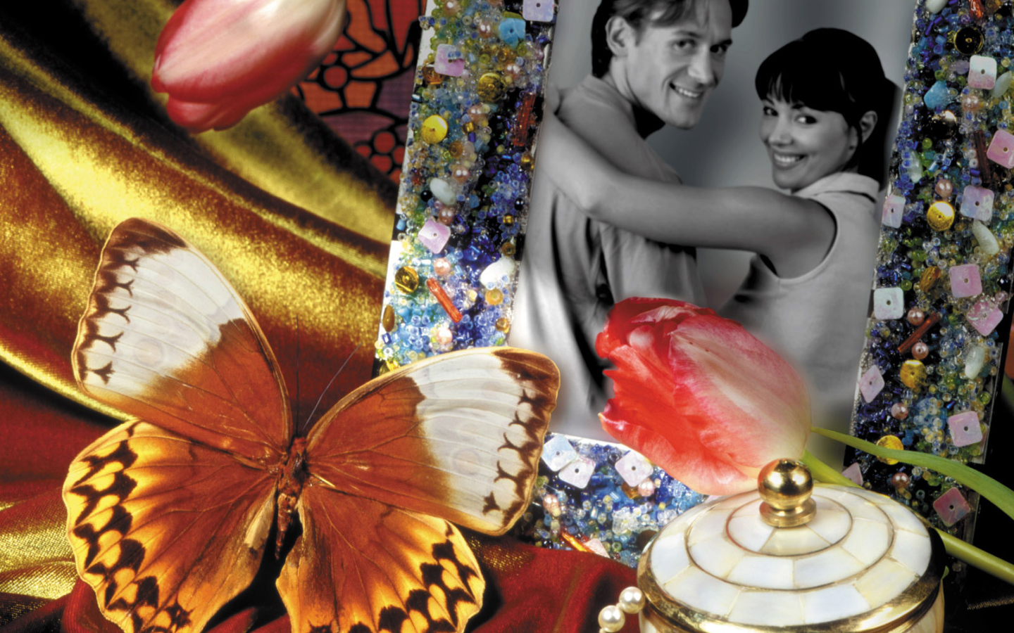 Бабочка у фотографии