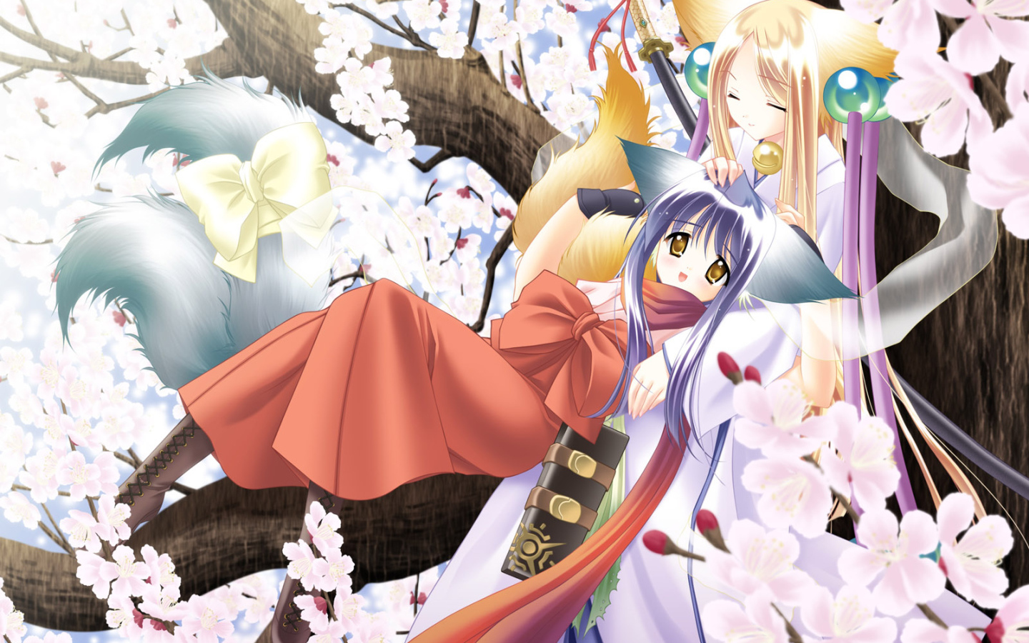 Под ветвями сакуры