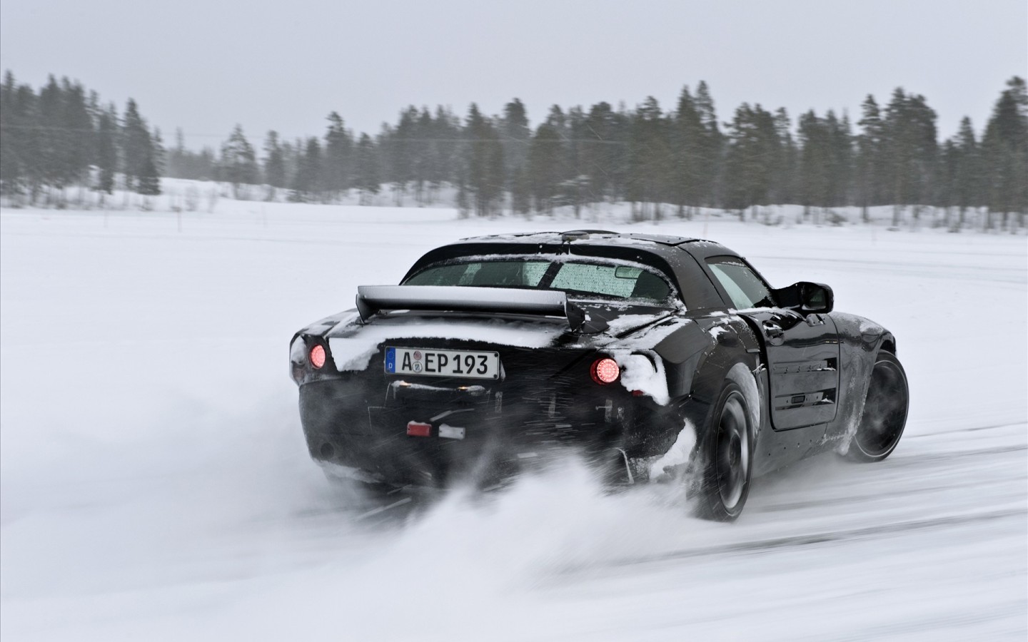 Зимняя гонка