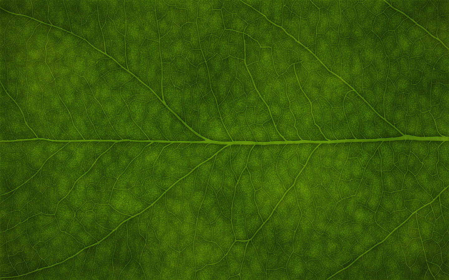 Зеленая листва