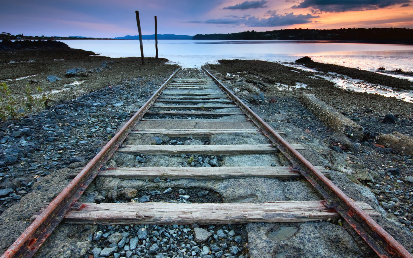 Дорога в никуда