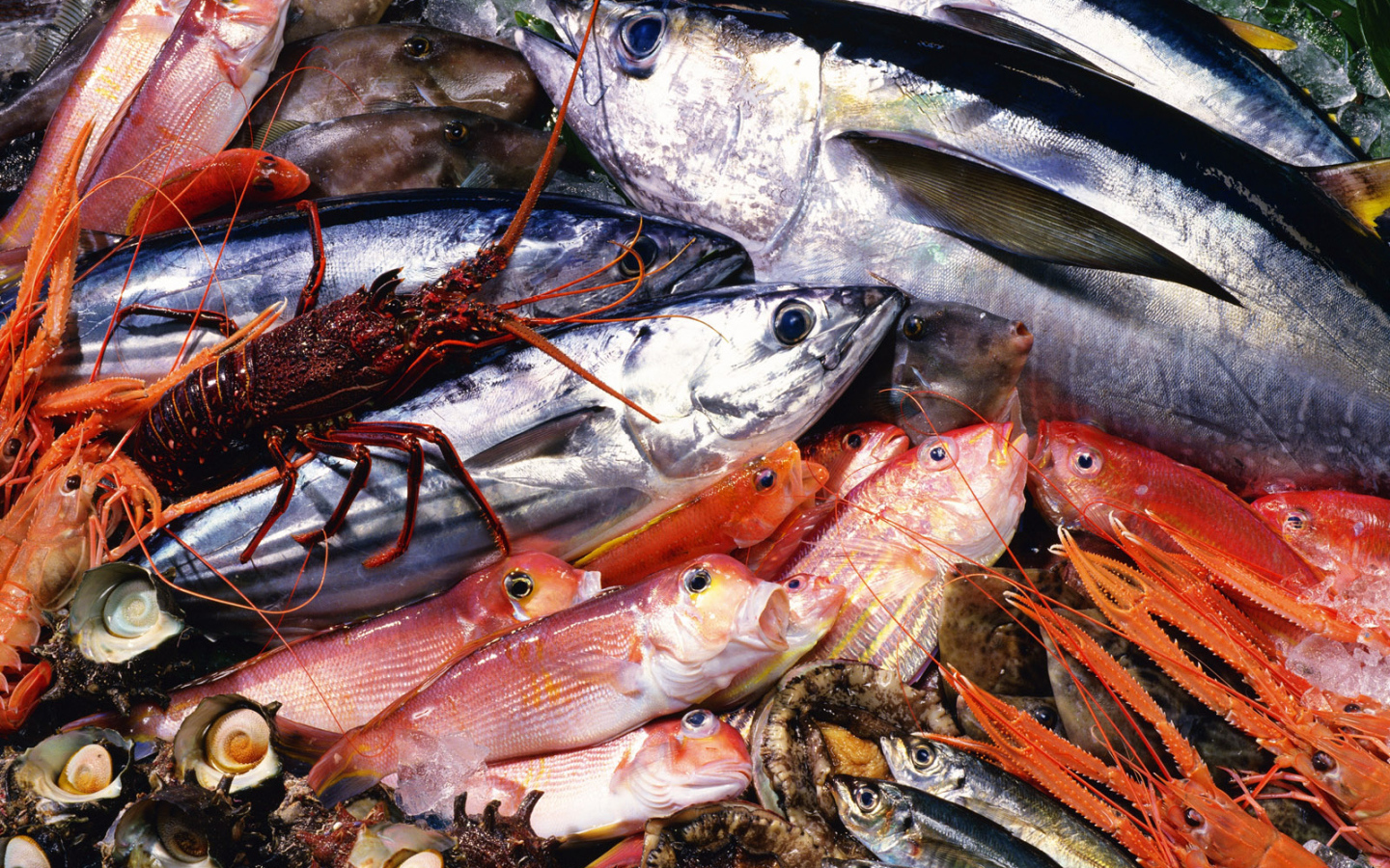 Морепродукты