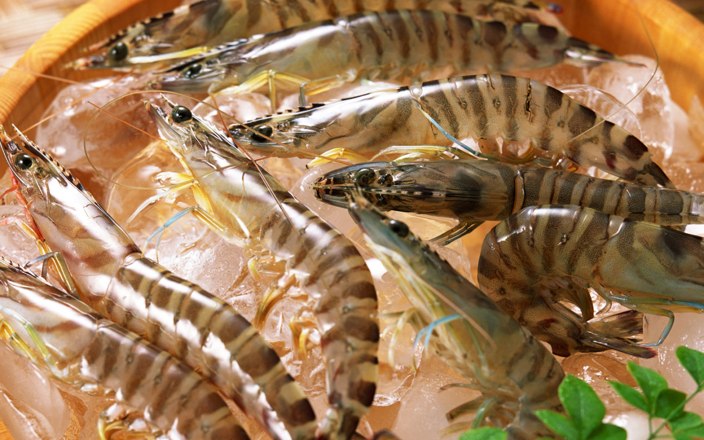 Полосатые креветки