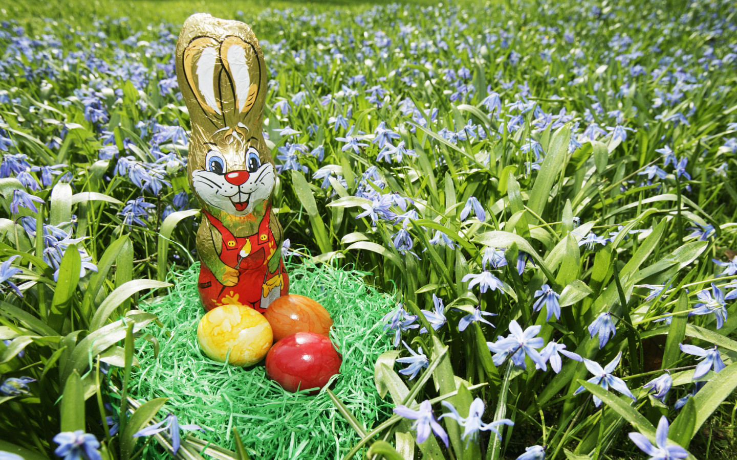 Яйца и Пасхальный заяц