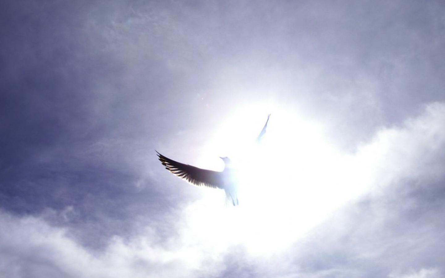 Праздничный день