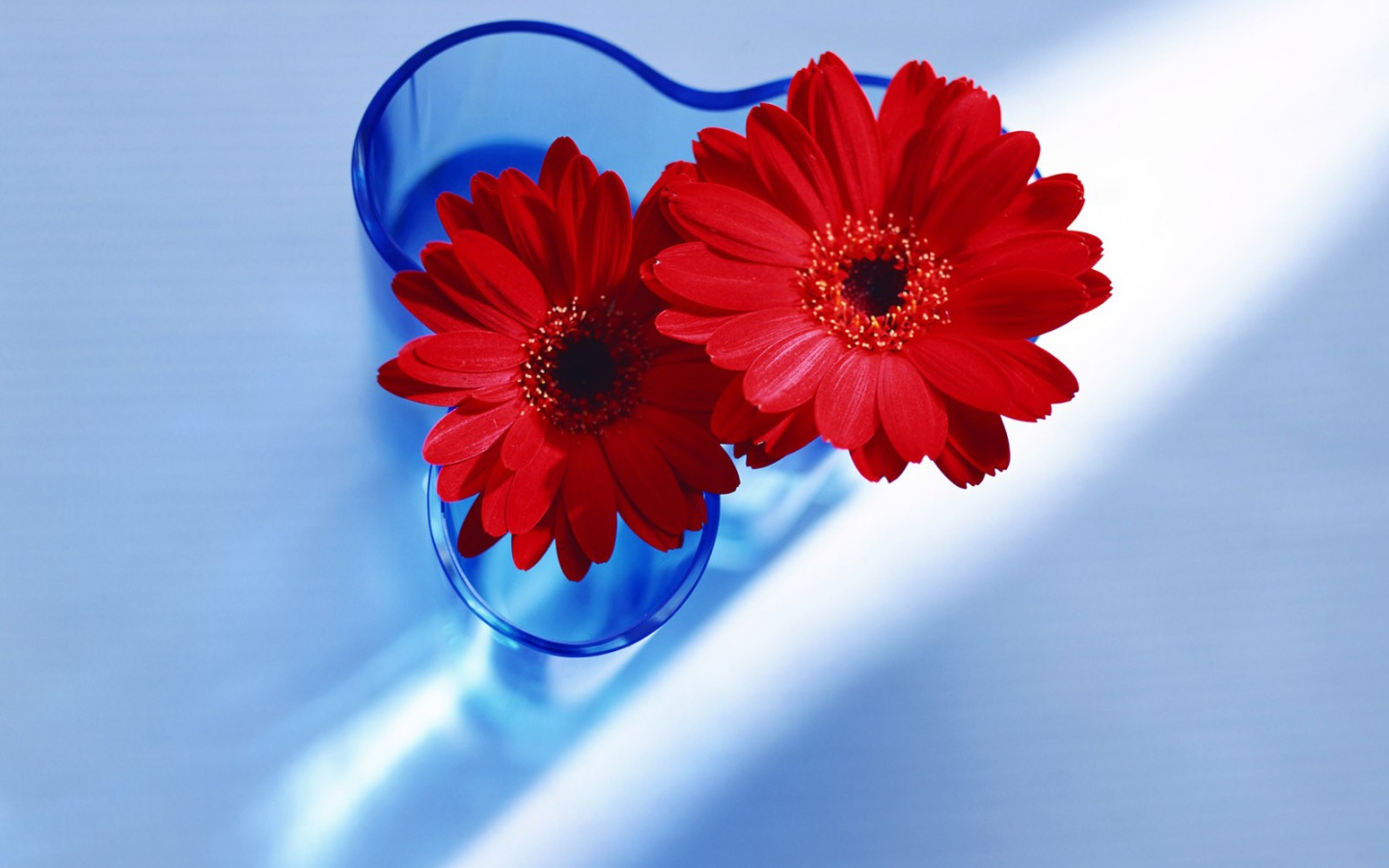 Цветы любимым девушкам на 8 марта