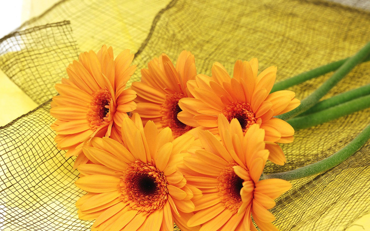 Цветы для самой красивой