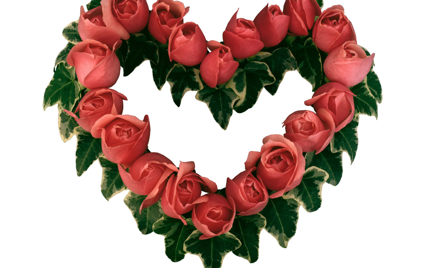 Сердце из роз