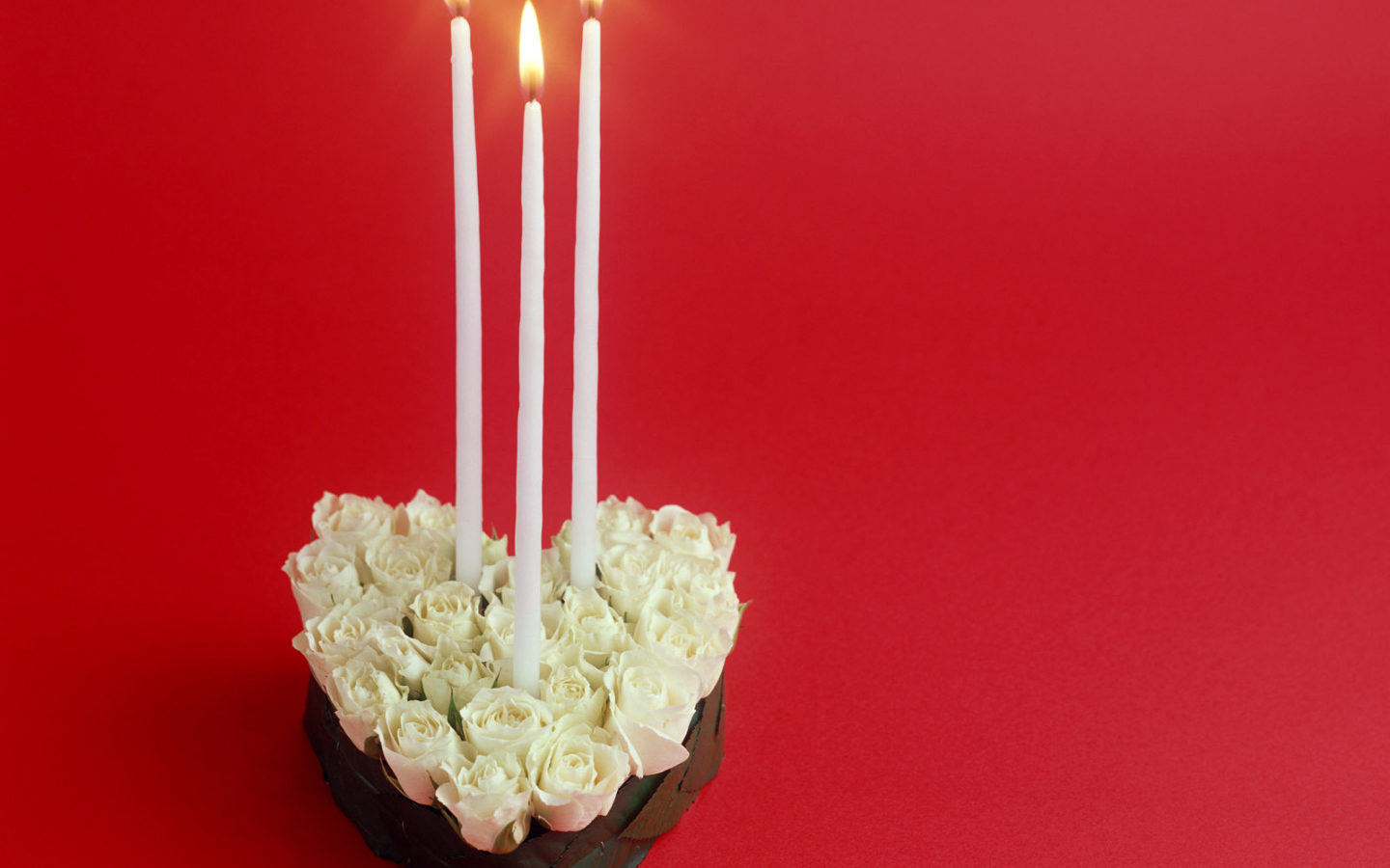 Белые розы в День Святого Валентина