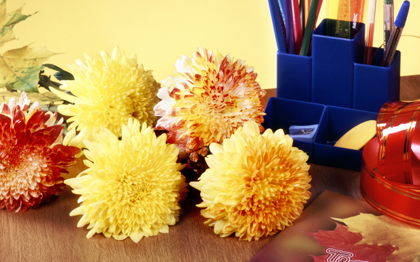 Снова за парту