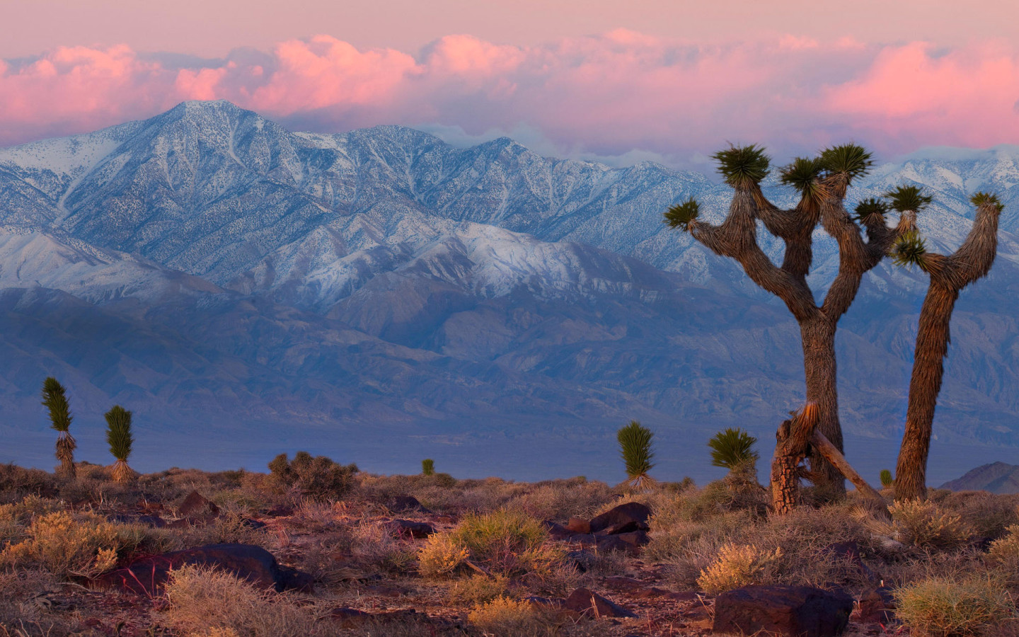 Горная гряда