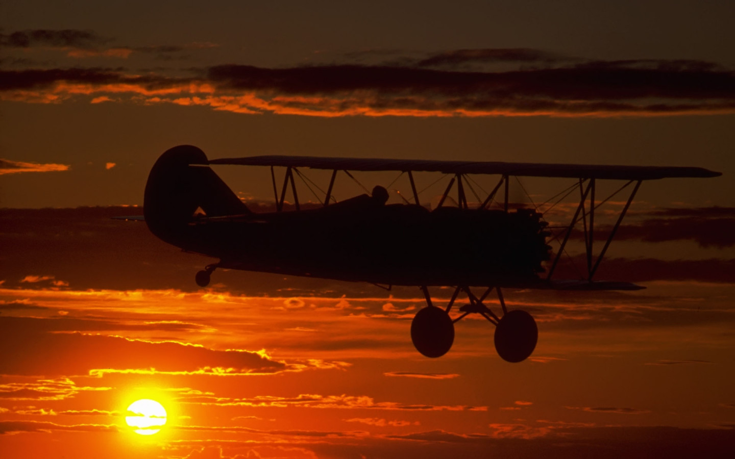 Полет на закате дня