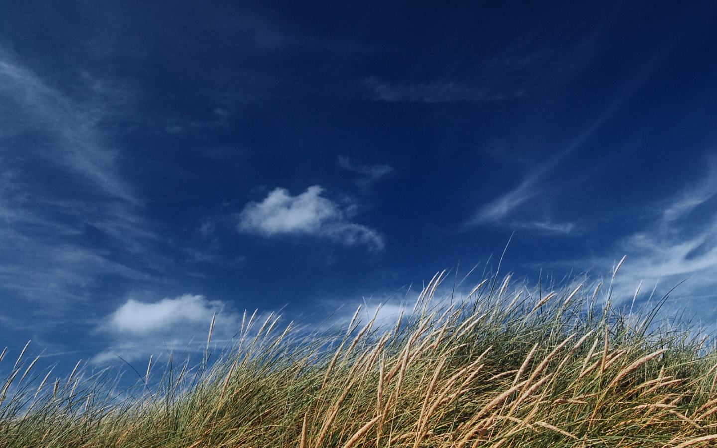 Голубое небо