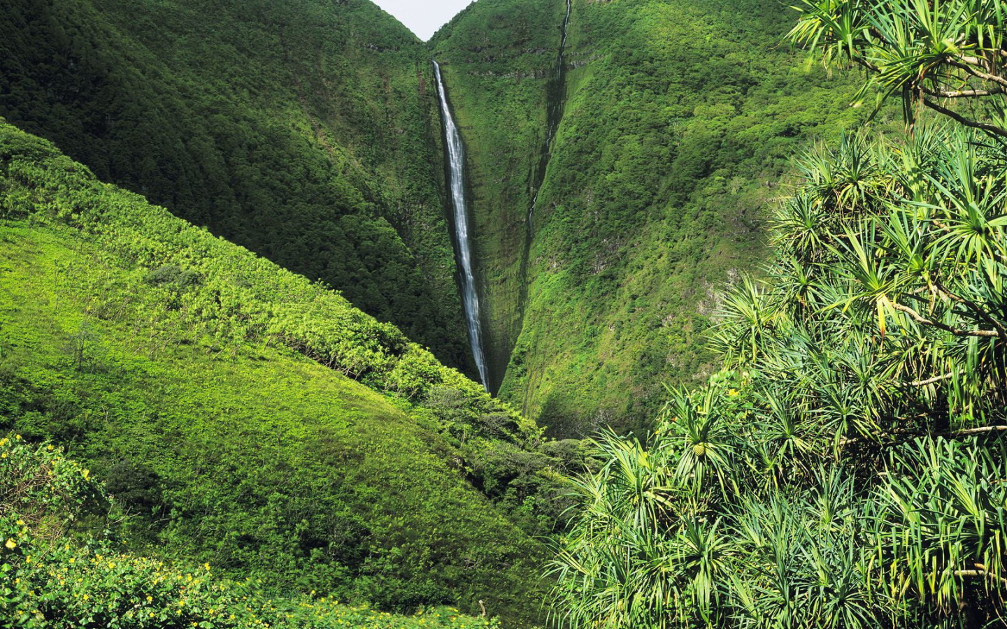 Рай на Земле