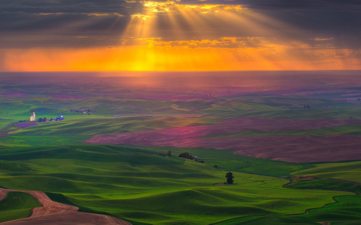 Поля на закате