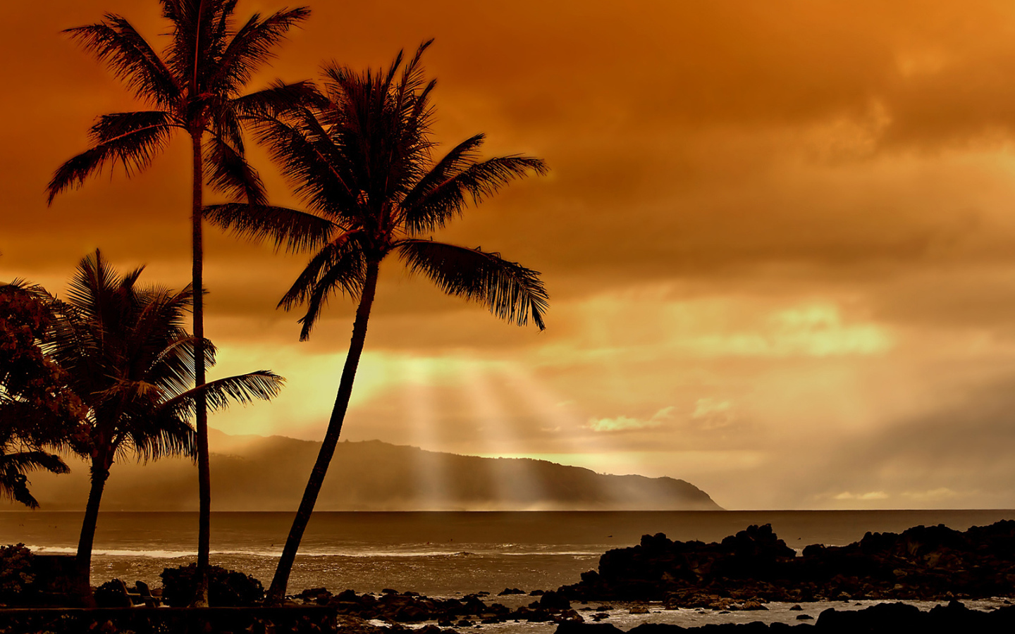 Закат в тропиках
