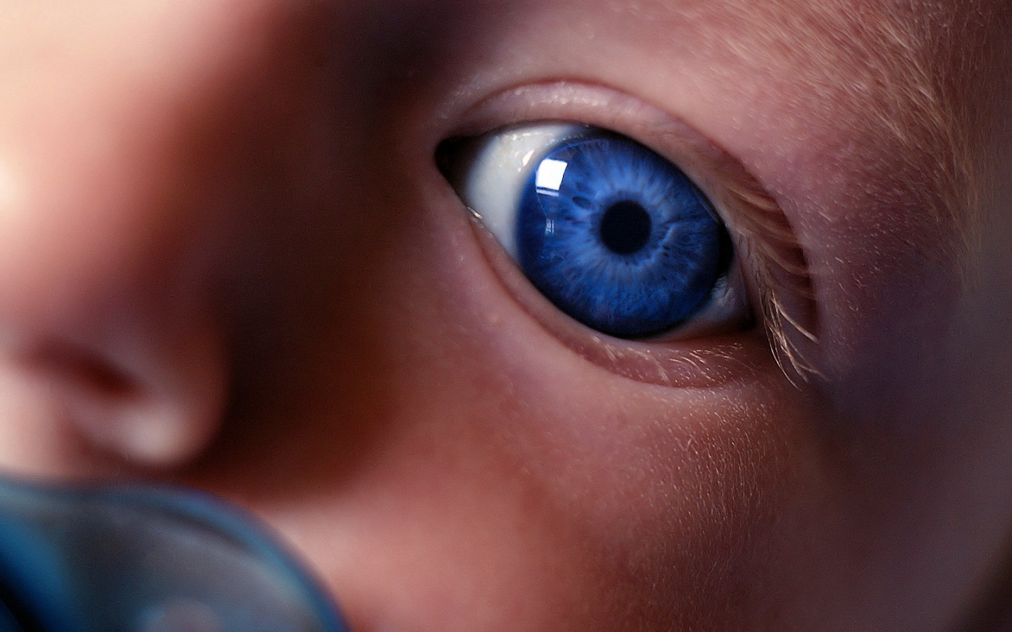 Взгляд на незнакомый мир