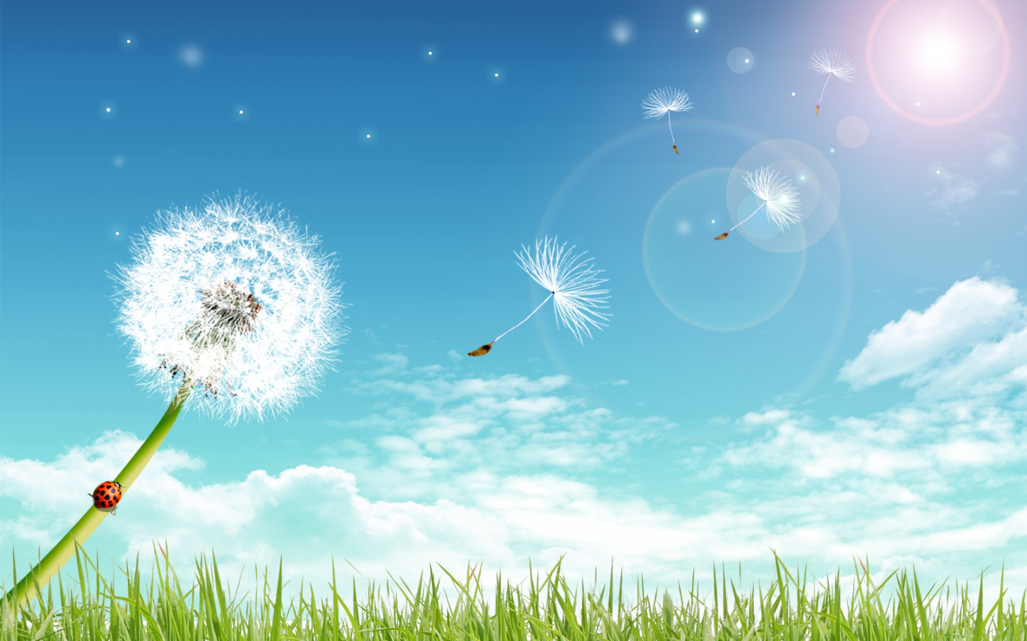 Летний день