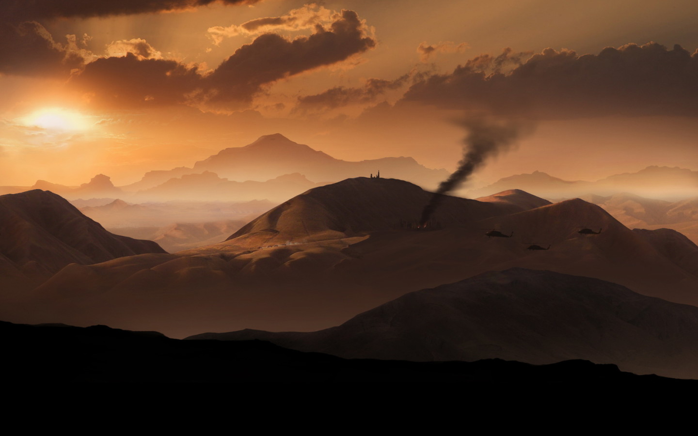 Черные птицы Афганистана