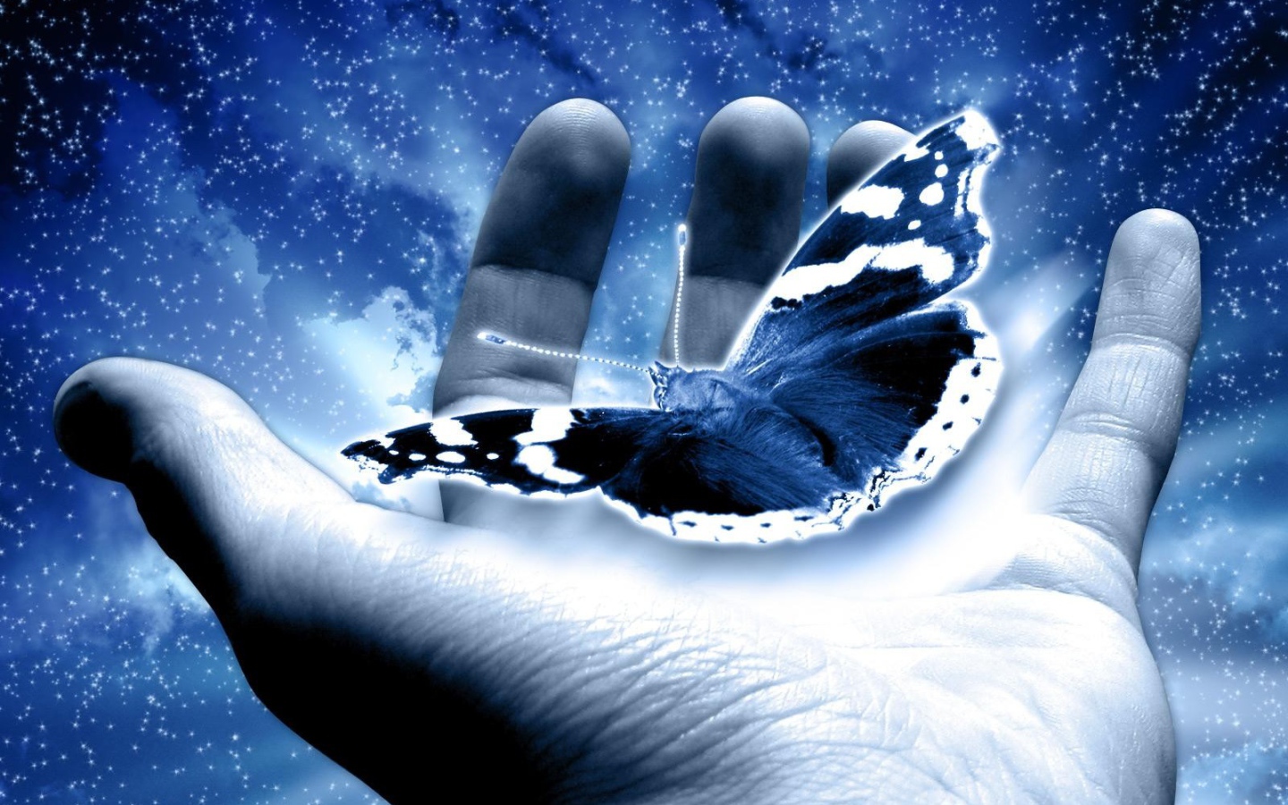 Бабочка в руке