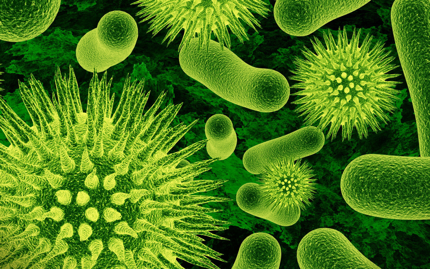 Одноклеточные