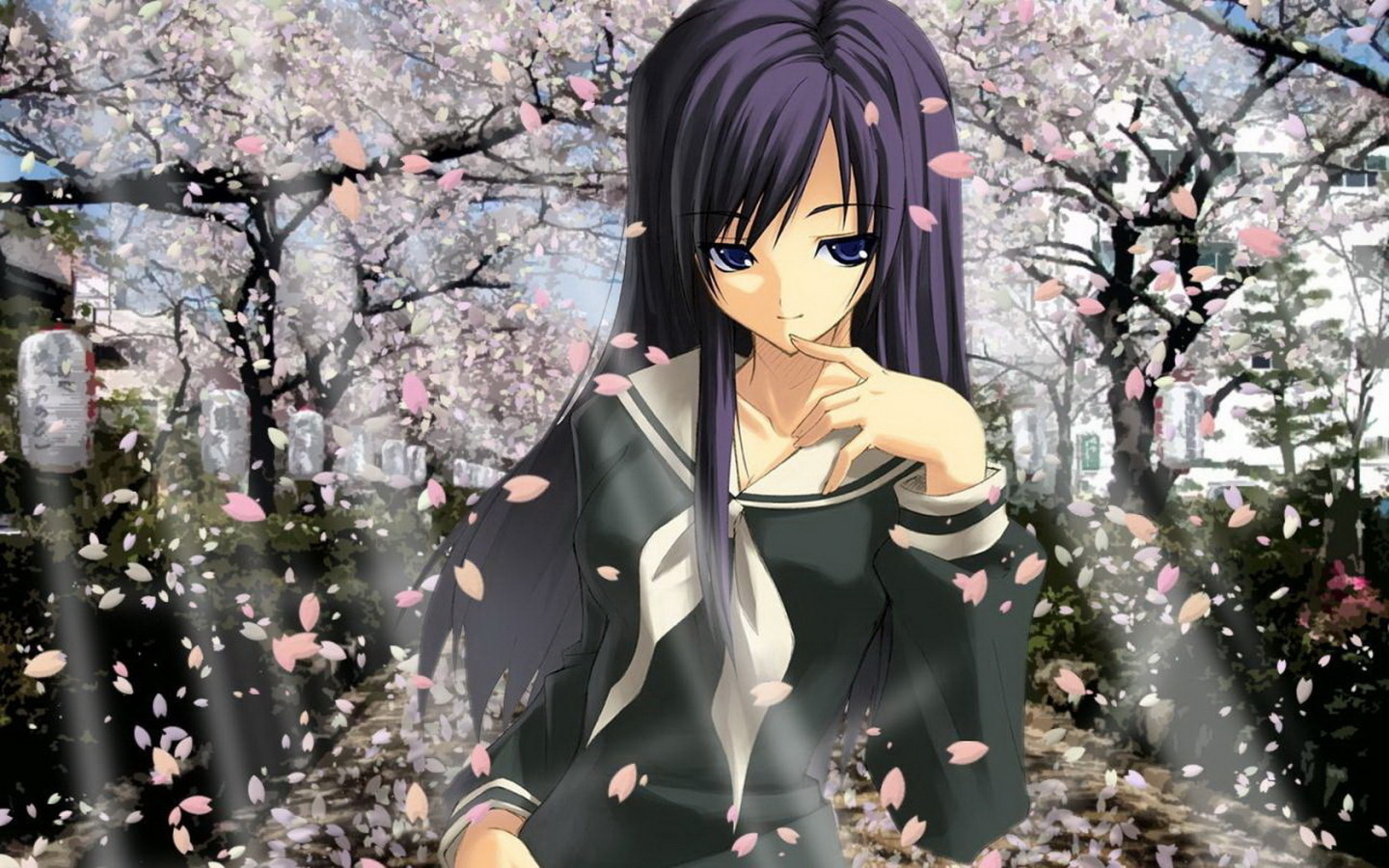 В цвете сакуры