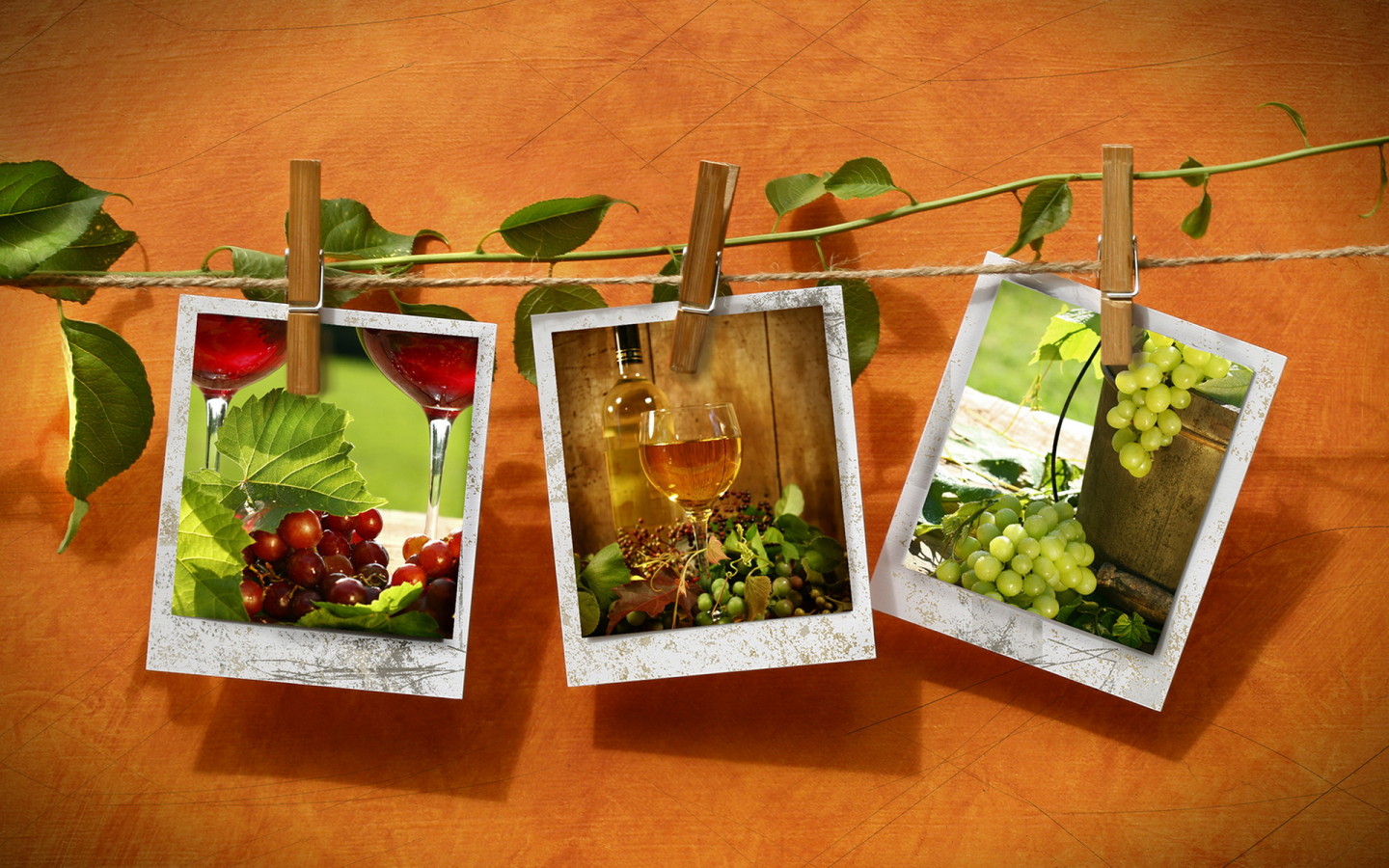 Фотографии