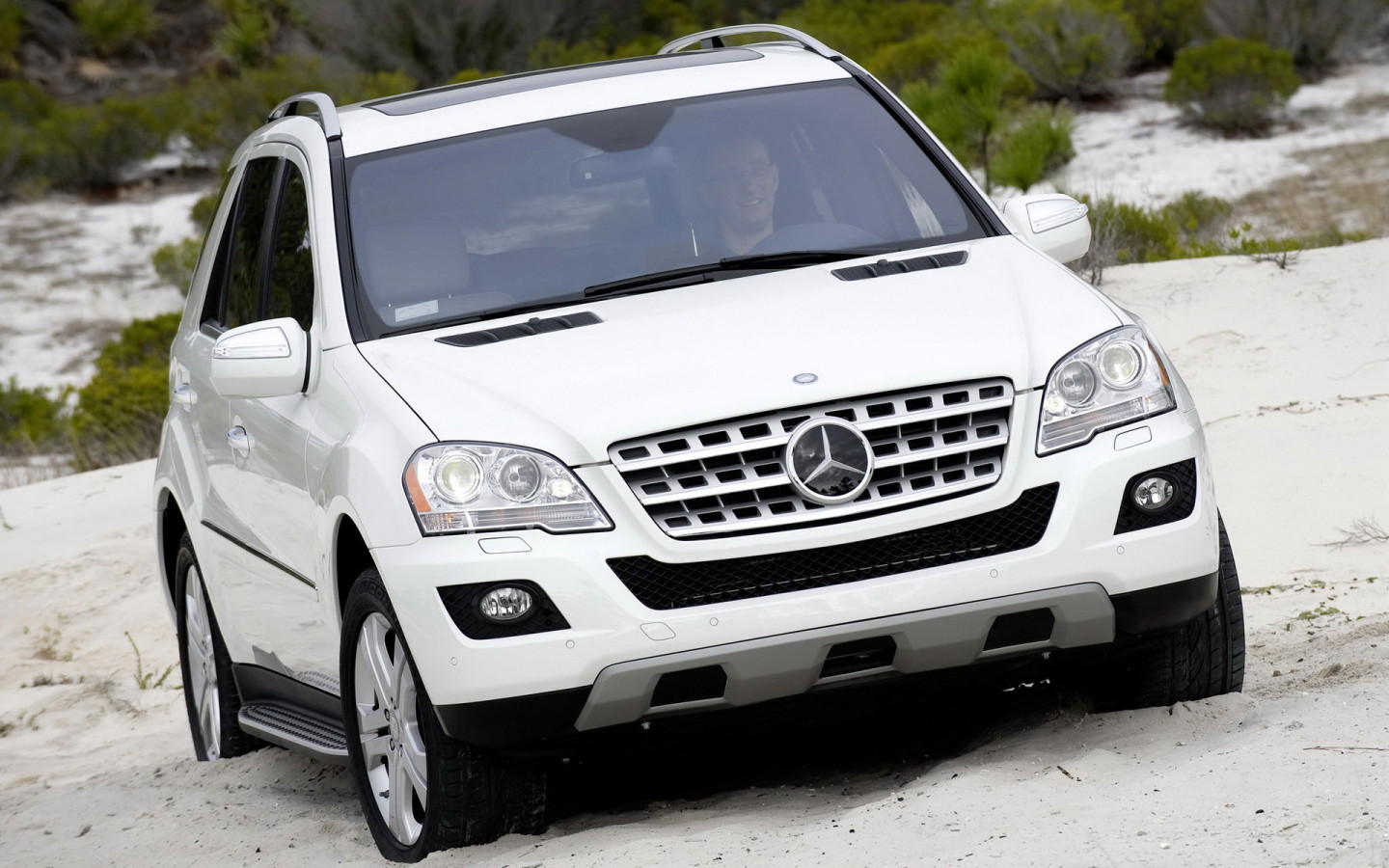 Mercedes-Benz ML320 Bluetec