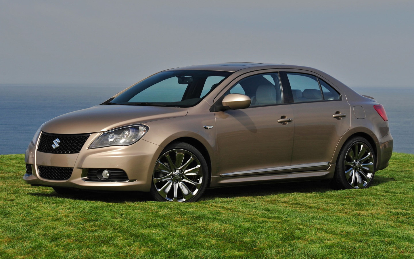 Сузуки Кизаши на газоне среди зелени