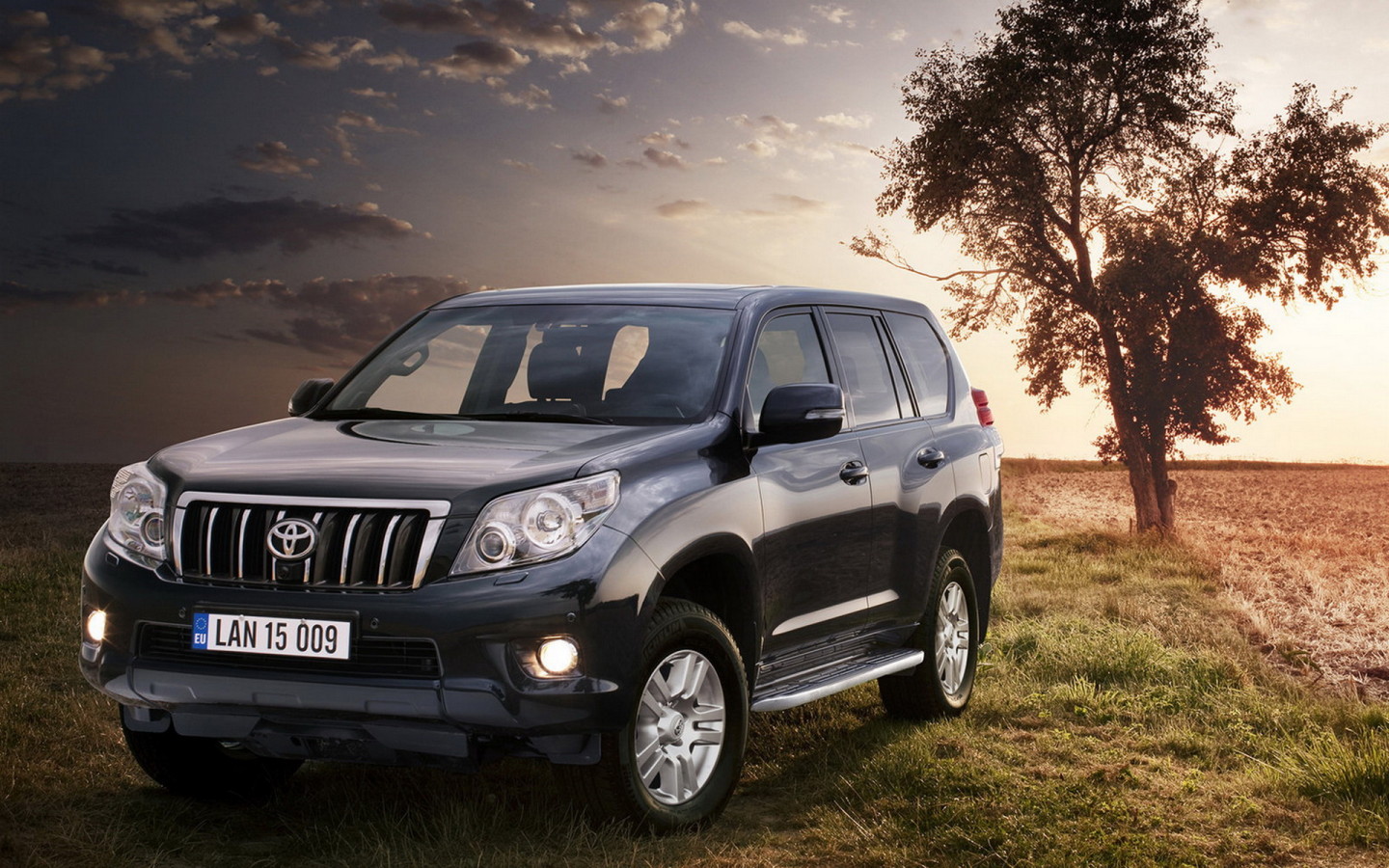 Toyota Land Cruiser возле дерева