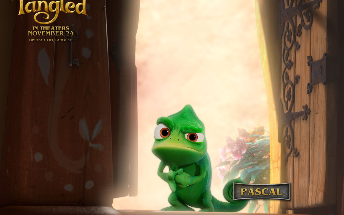 Рапунцель: Запутанная история