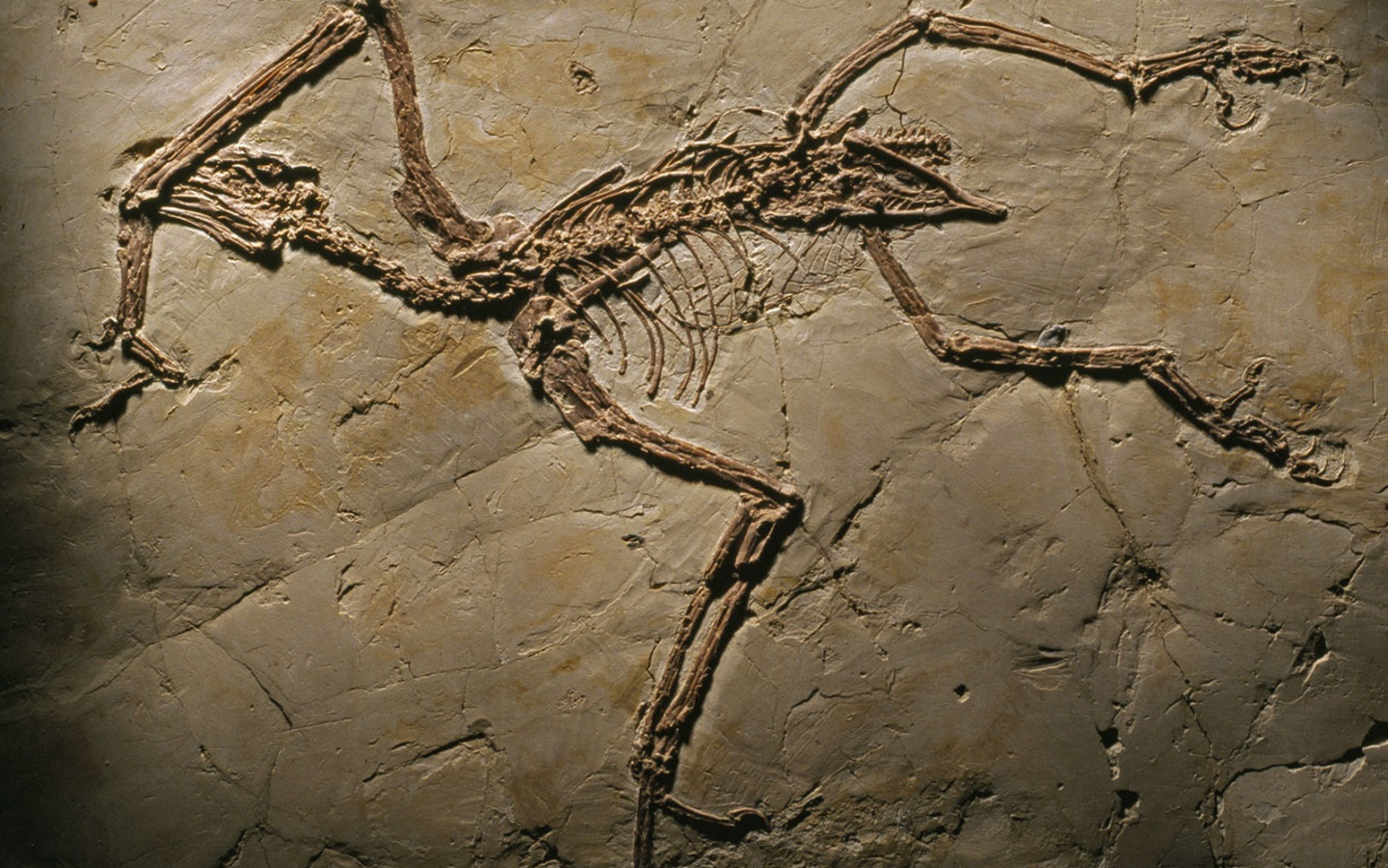 Археология