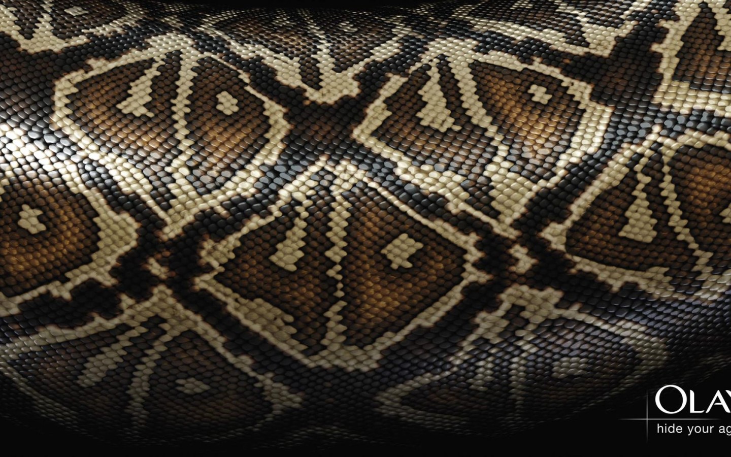 Змеиная кожа