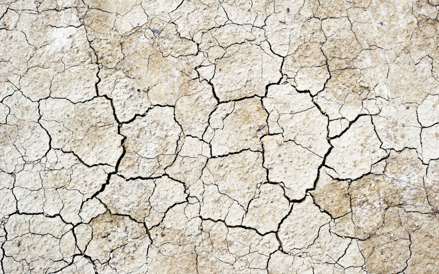 Земля выжженная солнцем