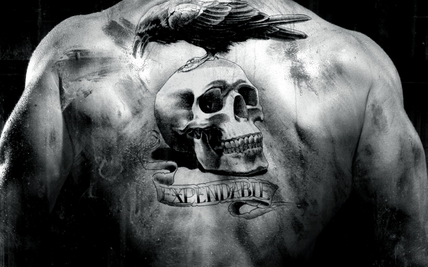 Тату на спине