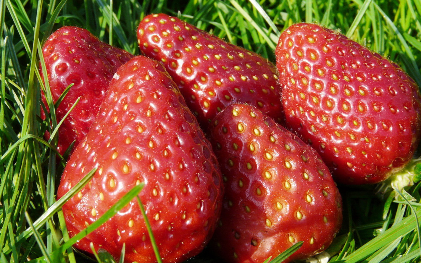 Спелая клубника