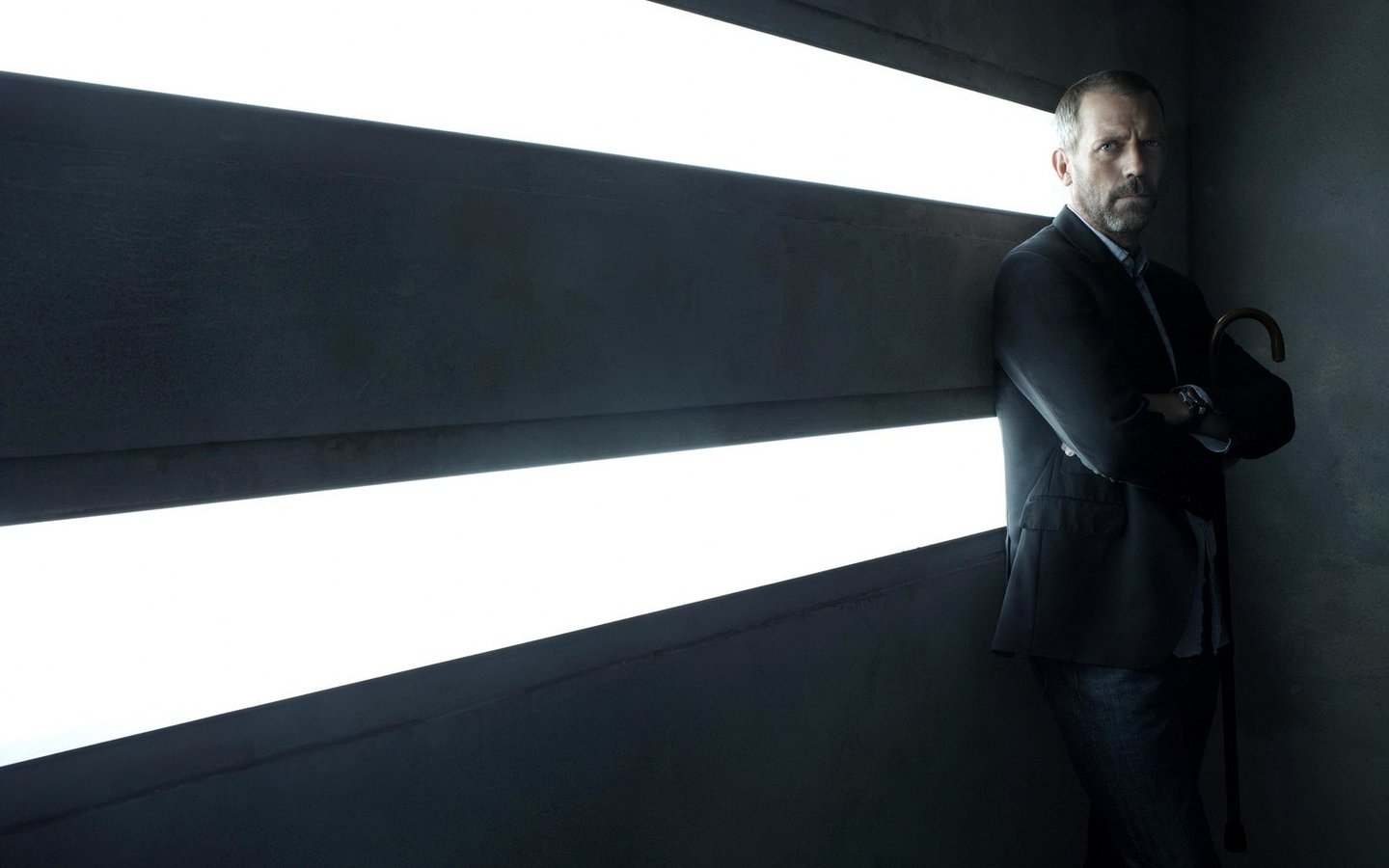 House MD Хью Лори