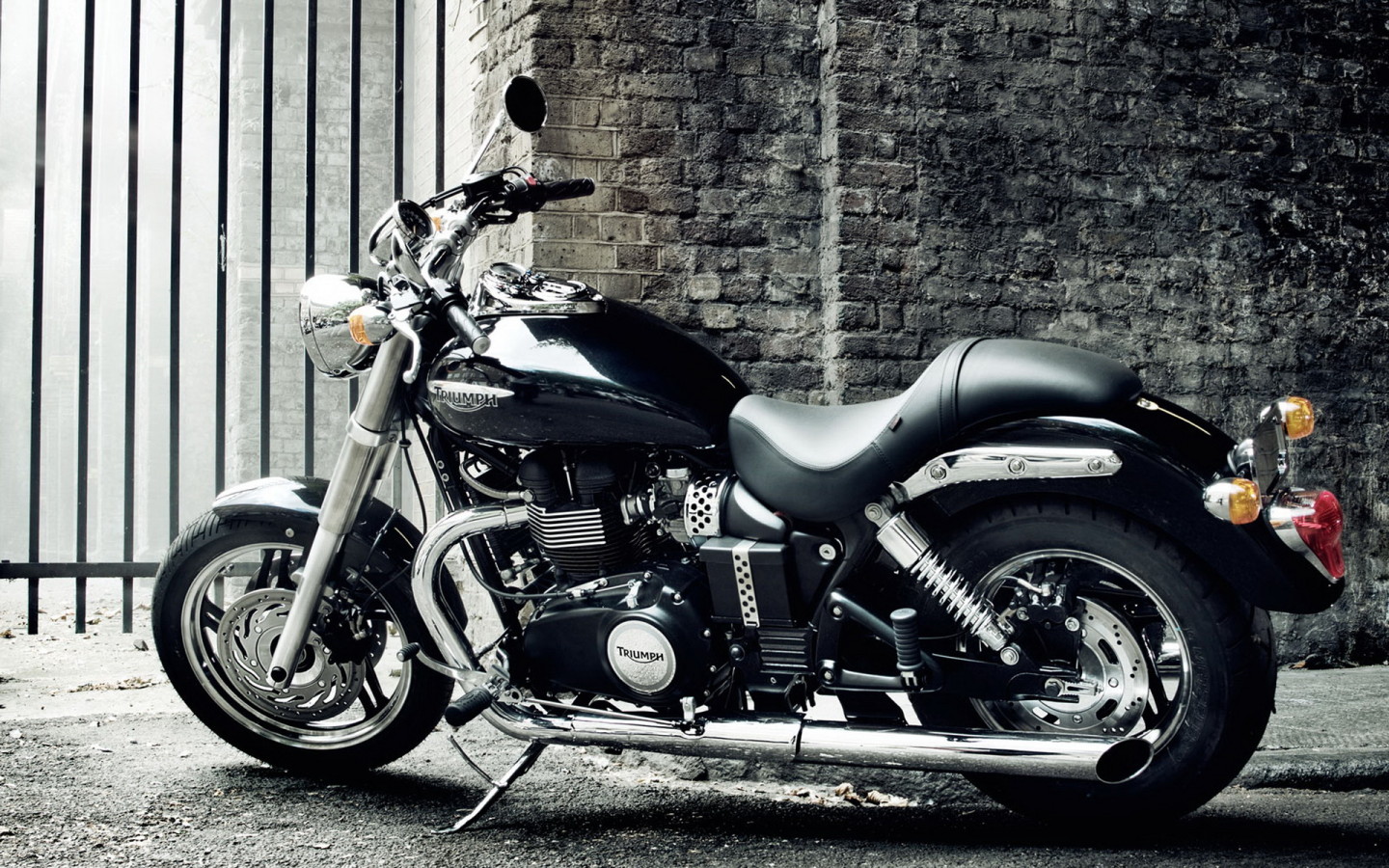 Triumph Speedmaster 2010