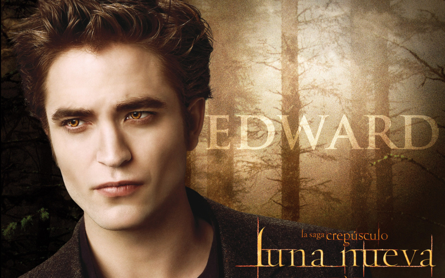 Сумерки. Сага. Новолуние