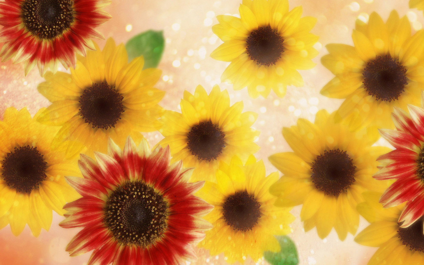 Подсолнухи