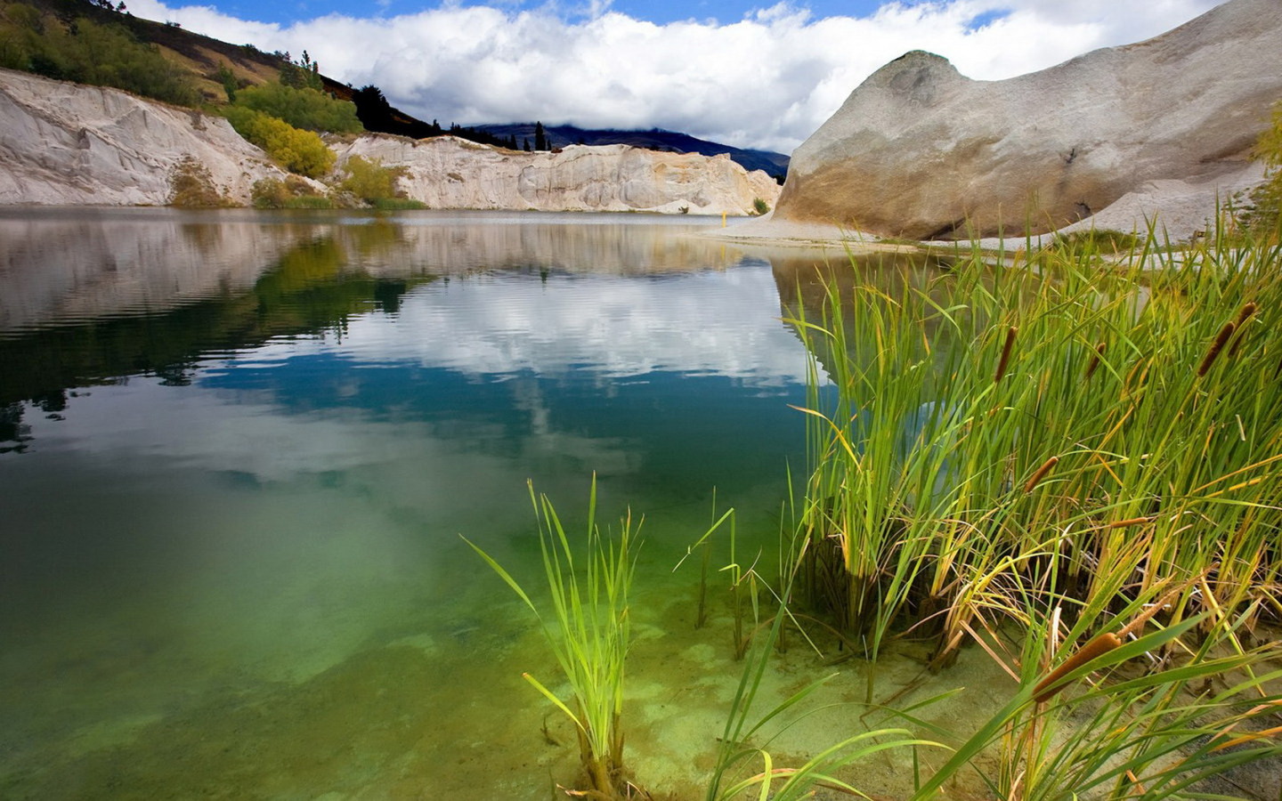 Зеленая вода
