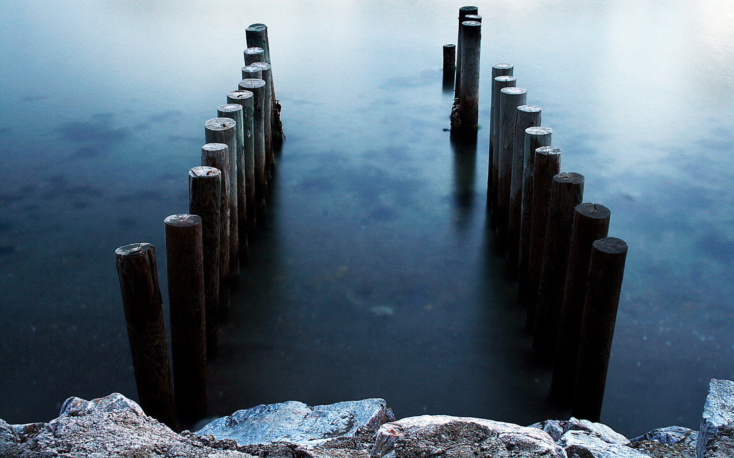 Бревна в воде