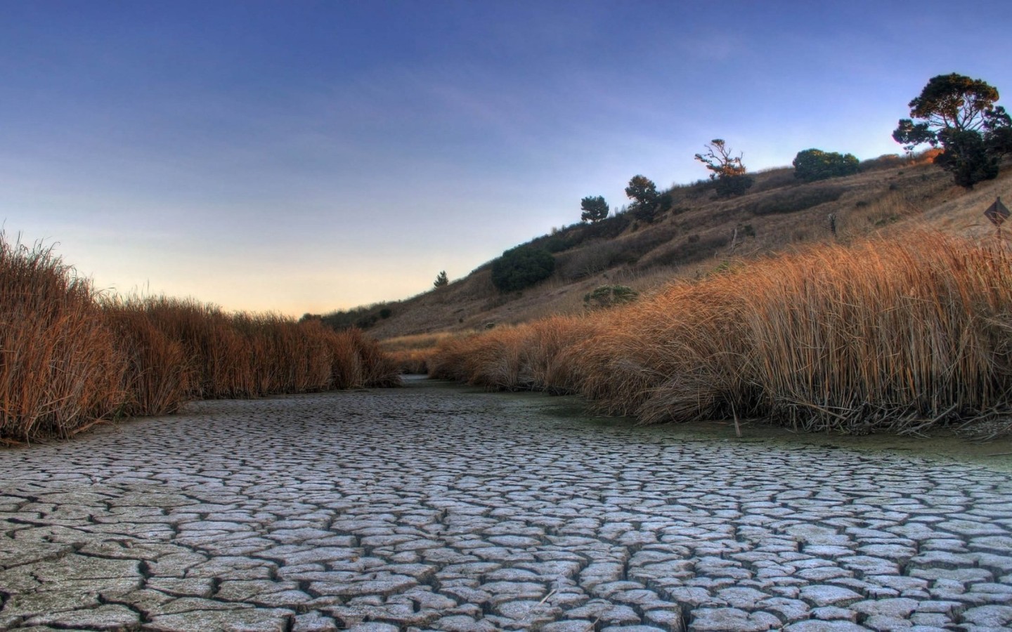 Высохшее русло