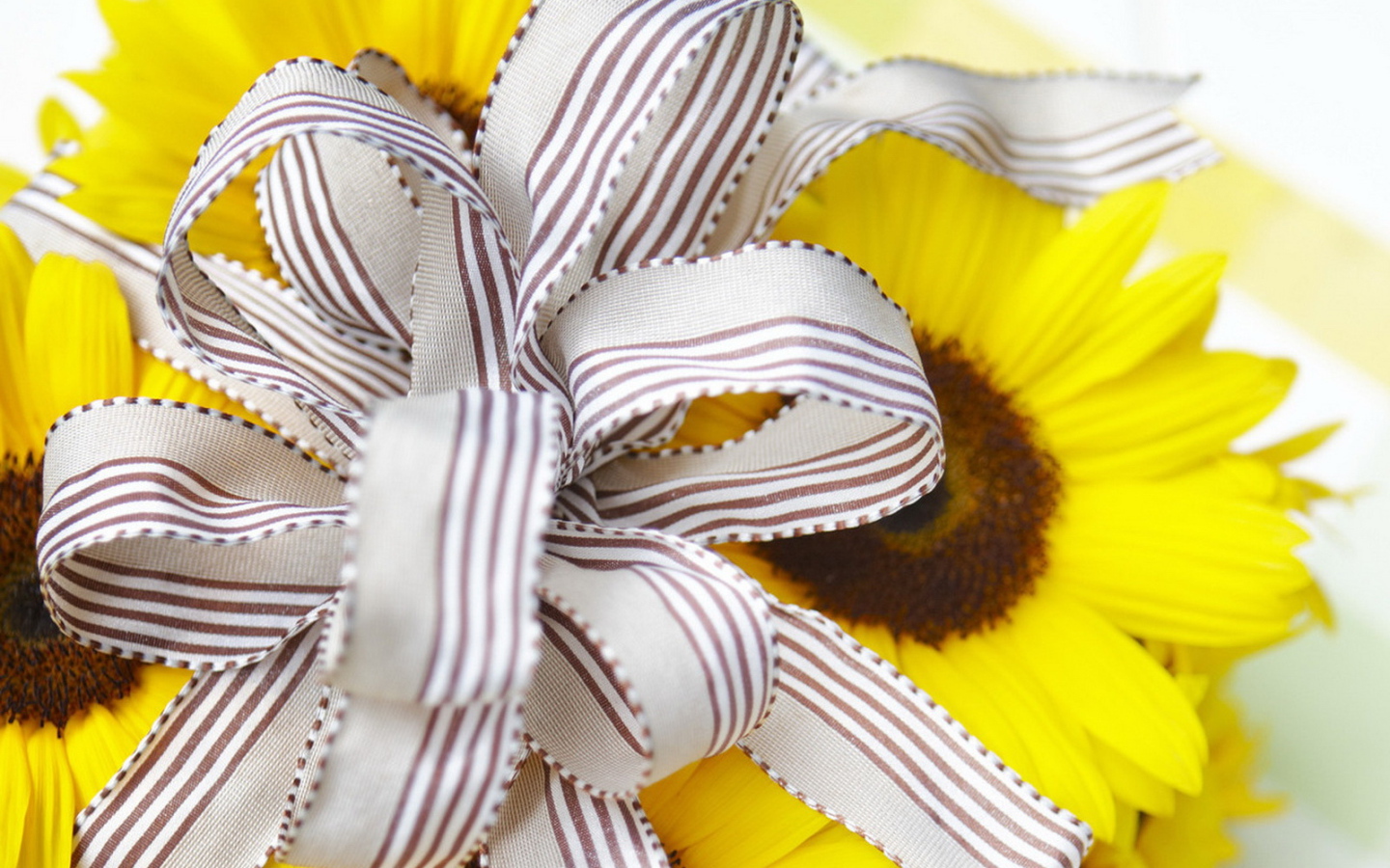 Солнечный подарок