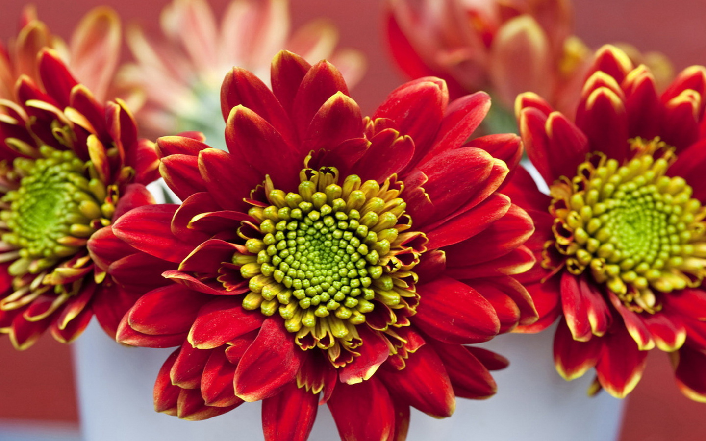 Летний букетик