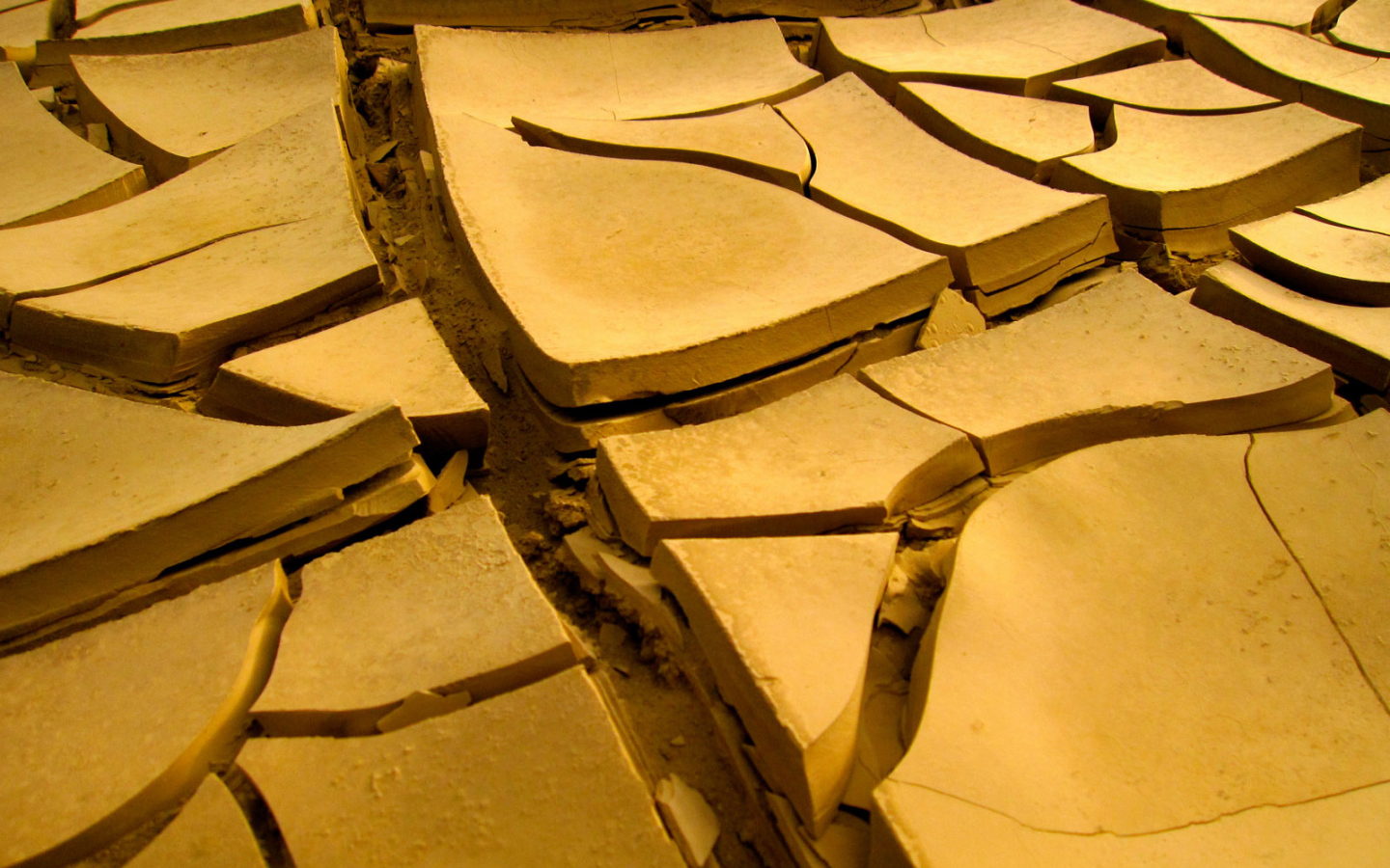 Сухая земля