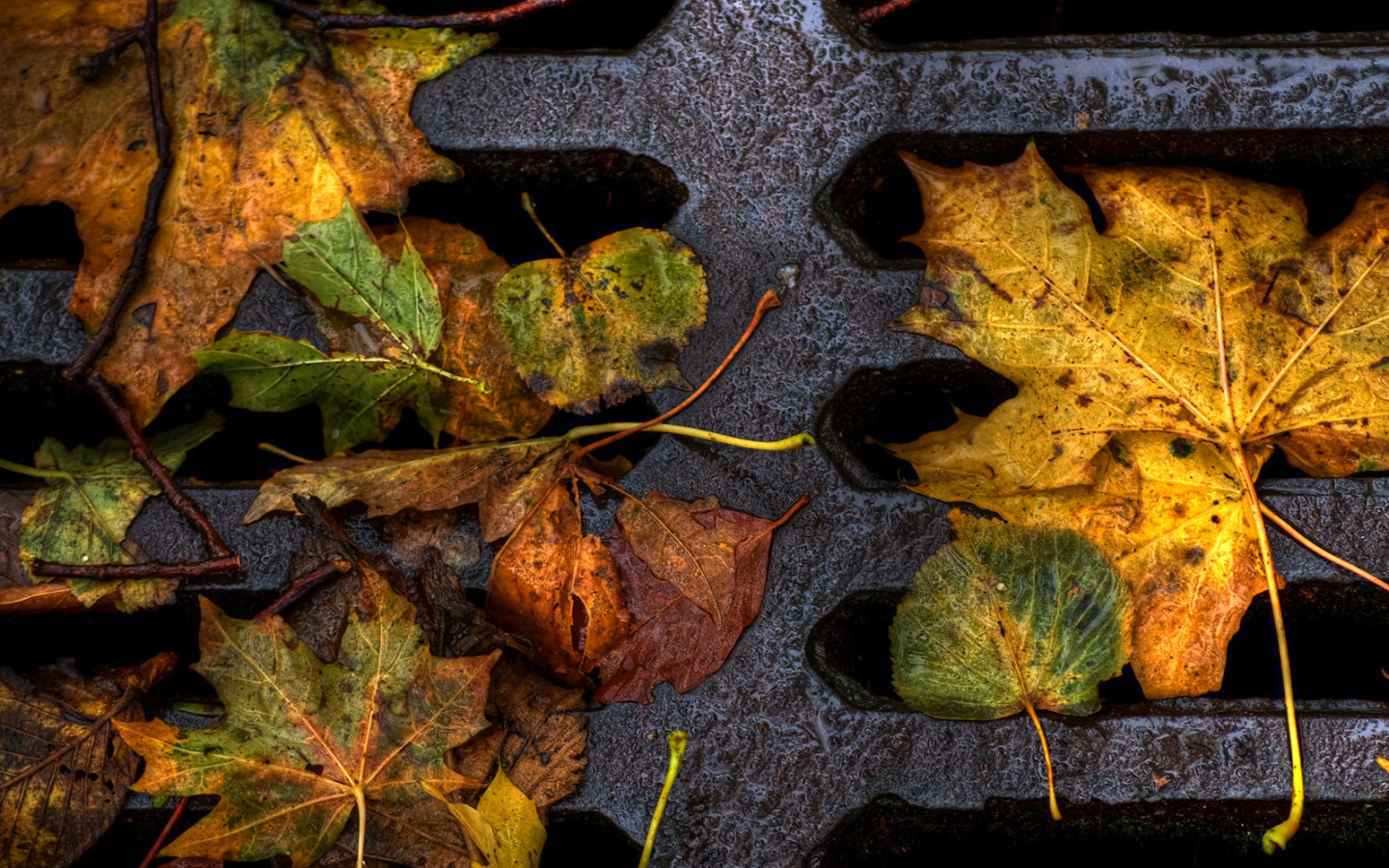 Пожелтевшие листья