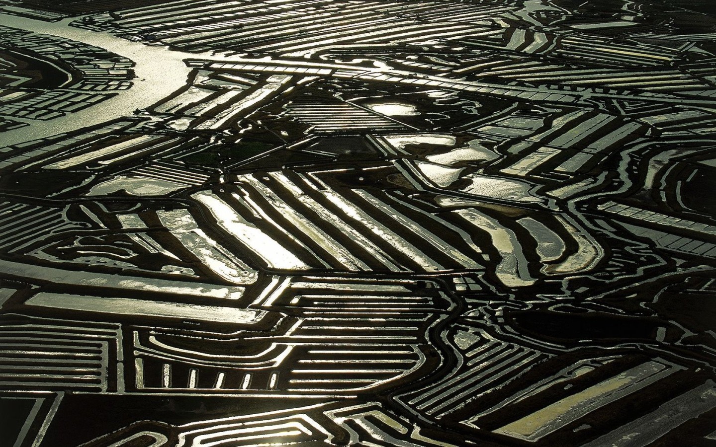 Устричные фермы