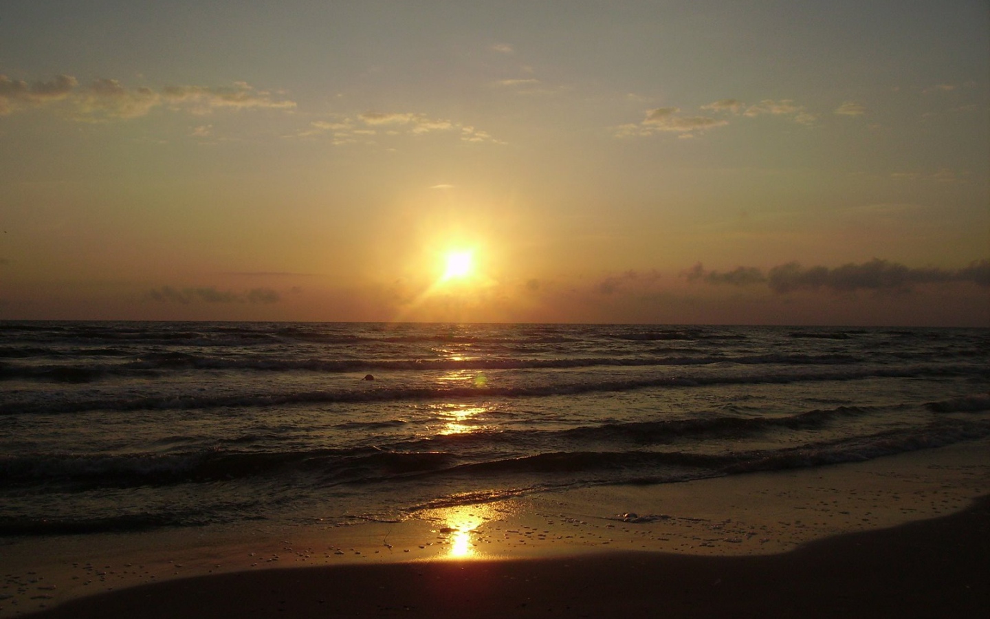 Паланга Балтийское море