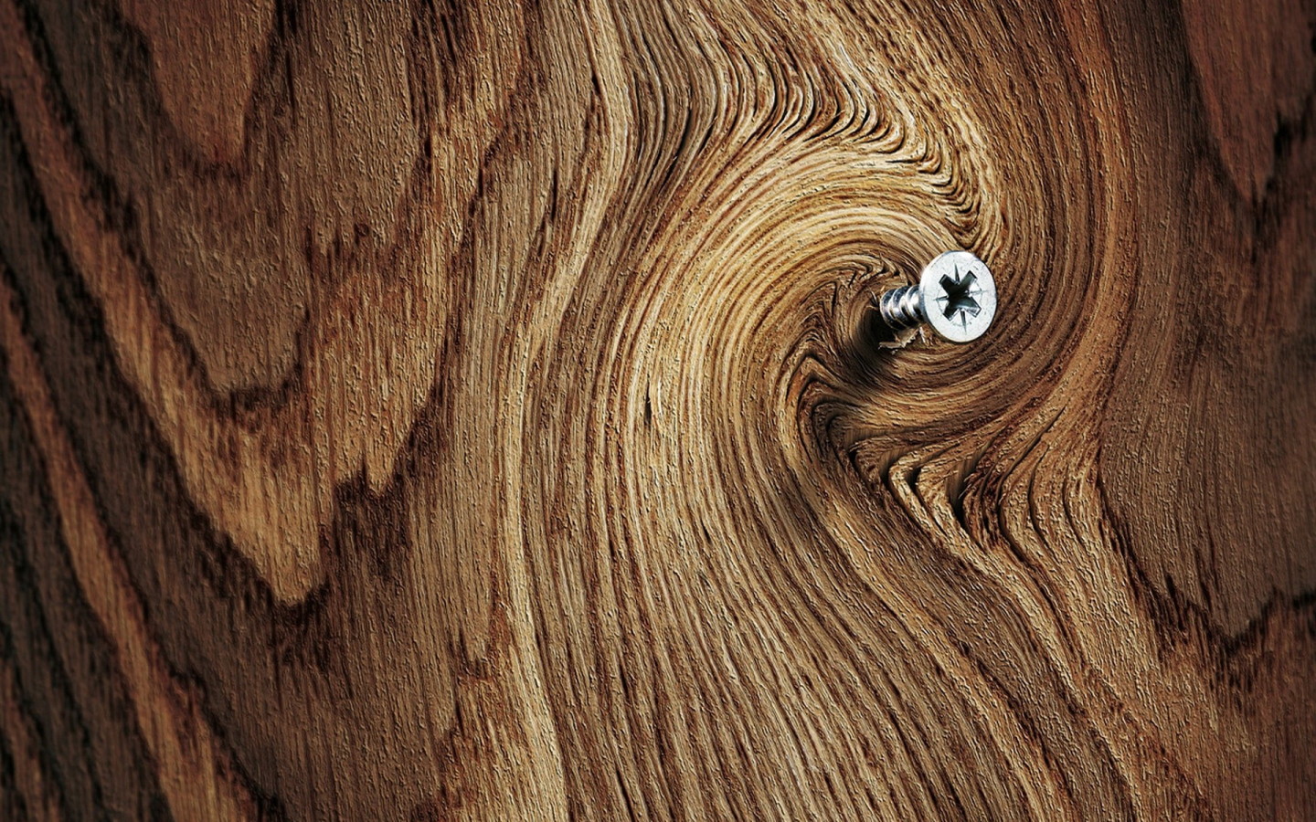 Саморез в доске